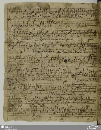 XLVI. Grimm, Heinrich: Missa super Dilectus meus mihi