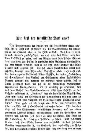 Wie sieht der sozialistische Staat aus?