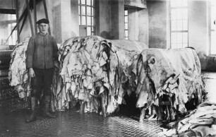 Freiberg-Zug, An der Zugspitze 42. Lederfabrik Zug. Werkteil Zugspitze. Gerberei. Raumaufnahme (Teilansicht) mit Lederablageböcken, daneben ein Gerber