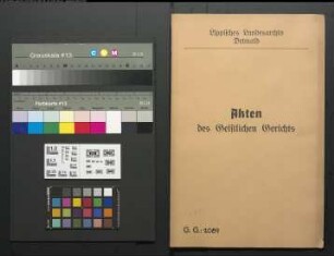 Anna Elisabeth Keyser (Keiser) aus Hiddesen gegen Johann Henrich Plaß aus Hiddesen, wegen einer Eheklage; Brüder des Keyser waren Johann Töns Keyser und Johann Bernd Keyser