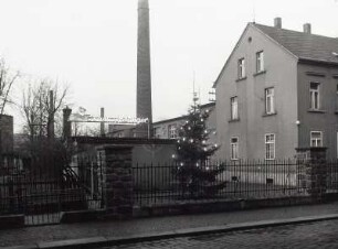 "Exquisit"-Karl Spranger (Sächsische Maßkorsettfabrik) mit Weihnachtsbaum