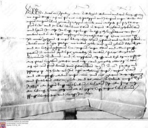 Dieter Graf v. Isenburg belehnt Philipp Wambold v. Umstadt und seinen Bruder Eberhard mit dem Burglehen zu Hayn