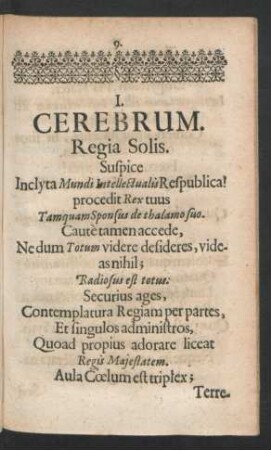 I. Cerebrum.