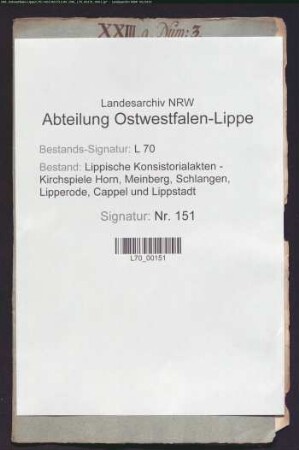 Bau einer neuen Orgel