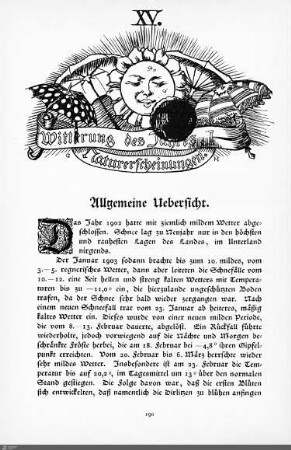 Witterung des Jahres. Naturerscheinungen.
