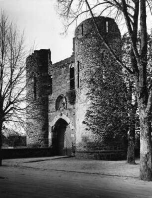 Welschbillig. Burg Welschbillig (1246/1255)