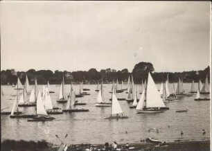 Berlin-Grunewald. Ferienzeit. Ausfahrt der Segelboote am Sonntagmorgen