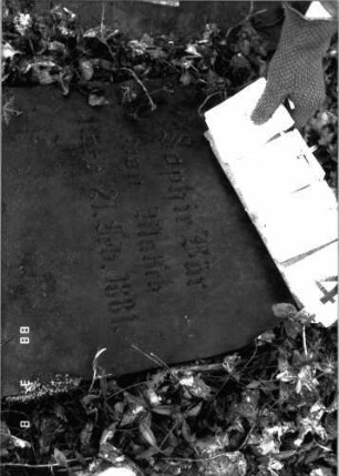 Grabstein 1044 (Detailaufnahme)