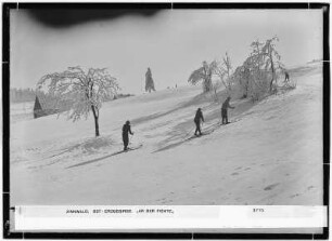 Zinnwald, Osterzgebirge. An der Fichte