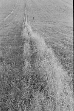 Čičmany. Akt-Pleinair 1980. Abgeerntetes Feld mit einer jungen Frau im Hintergrund