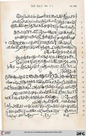 Plates VIII-XIII