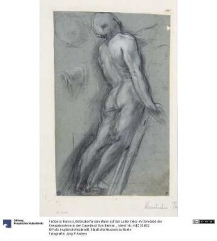 Aktstudie für den Mann auf der Leiter links im Gemälde der Kreuzabnahme in der Capella di San Bernardino im Dom von Perugia