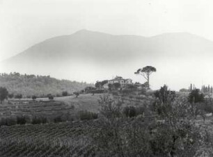 Der Monte Amiata