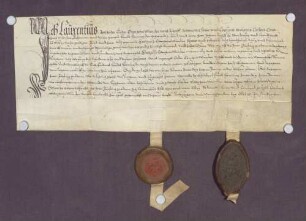 Das Kloster Ettenheimmünster verspricht die 600 Pfund Pfennig, die Bischof Johann von Straßburg ihm aufzunehmen gestattet hat, innerhalb vom 10 Jahren zu tilgen.