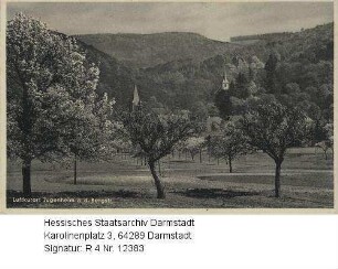 Jugenheim an der Bergstraße, Teilansicht mit blühenden Obstbäumen