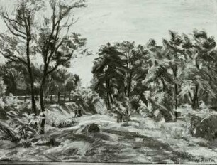 Sonnige Landschaft