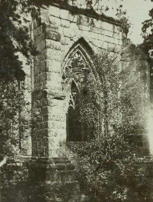 Oybin, Burgberg. Ruine der Klosterkirche, Fenster von Süden