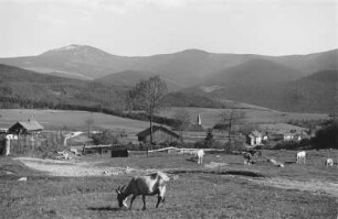 Lohberg : Blick auf Lohberg. Im Hintergrund der Großen und Kleinen Arber