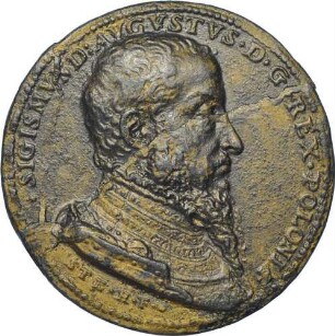König Sigismund II. August - Siegreicher Feldzug gegen die Tataren