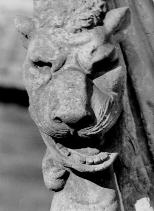 Röhrsdorf, Schloss, Bacchus vor der Orangerie, Detail