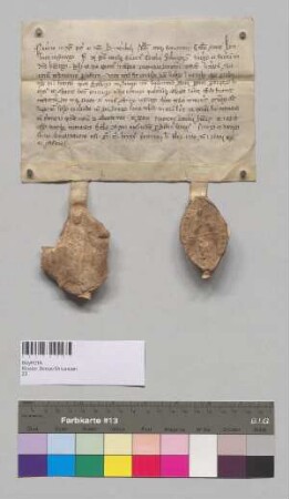 Abt F[riedrich] und der Konvent von Kloster Biburg nehmen Kloster Seeon ihre Gebetsverbrüderung auf. S1: Abt v. Kl. Biburg, S2: Konvent Biburg