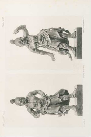 Plate VIII.