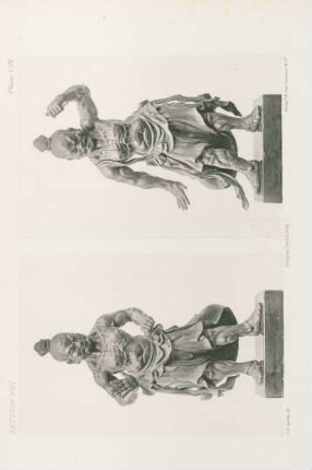 Plate VIII.