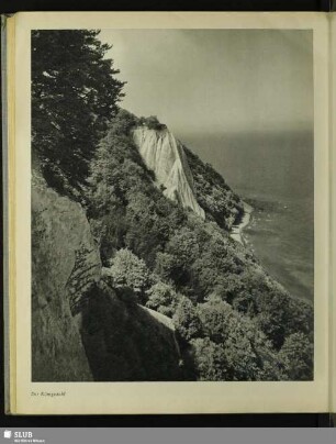 Der Königsstuhl