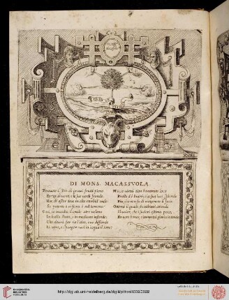 Nr. 19: Gio. Francesco Macassuola