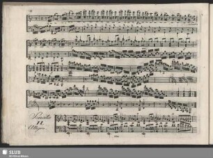 Sonata II.