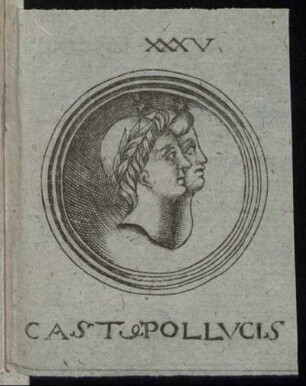 Castor Et Pollux