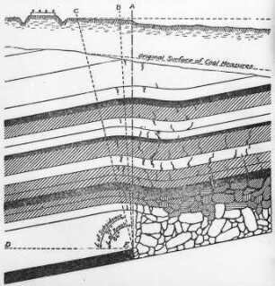 Senkung durch den Bergbau, Schema (Young und Stock) : Geologie | Tektonik | Faltung