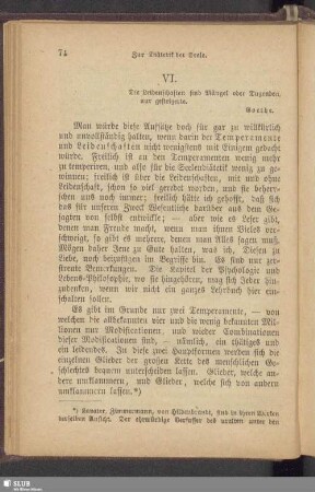 VI. Temperament, Leidenschaft