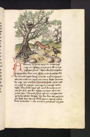 Der Fuchs, der Rabe und die gefräßige Schlange; (Kapitel II: Von dem Löwen und dem Ochsen)