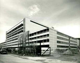 Firma Knoll, 1968