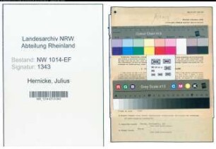 Entnazifizierung Julius Hernicke , geb. 16.04.1891 (Arzt)