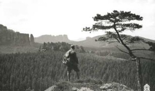 Sächsische Schweiz. Neuer Wildenstein. Wanderer auf der Felskanzel mit Wetterkiefer. Blick gegen Bloßstock, Schrammsteine und Hohe Liebe