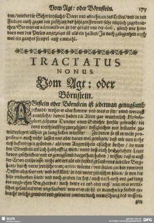 Tractatus Novus. Vom Agt. oder Börnstein.