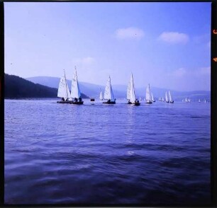 Schluchsee: Segelregatta, Regattaboote an der Wendeboje, entfernter