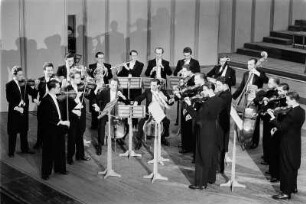 Dresdner Kammerorchester (Herr Ulbrich) : Dresdner Kammerorchester. Konzertauftritt