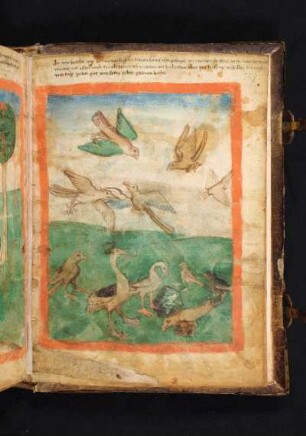 6. Zeichen: Vögel versammeln sich
