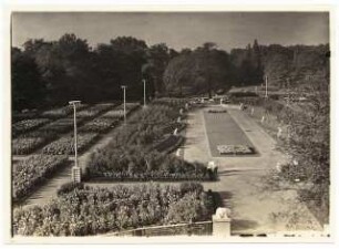Ausstellungsgarten Jubiläums-Gartenbau-Ausstellung 1926, Dresden: Blick vom Grünen Dom auf den Garten zum blauen Rittersporn, Abschnitt 4