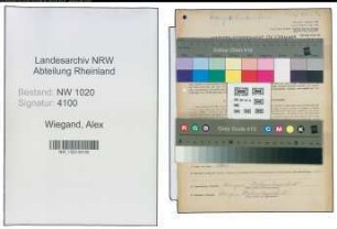 Entnazifizierung Alex Wiegand , geb. 09.12.1909 (Spediteur)