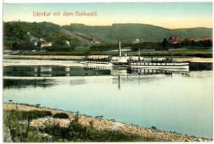 Diesbar mit Golkwald, Elbe und Dampfer John Penn