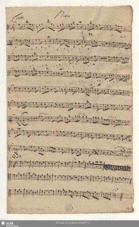 Viola [transp.]