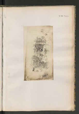 No. 12 Verso