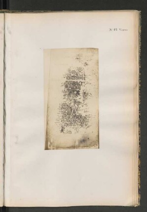 No. 12 Verso