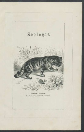 Zoologie.