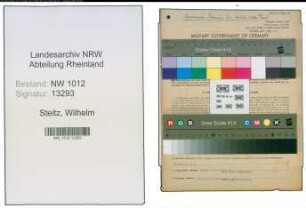 Entnazifizierung Wilhelm Steitz , geb. 24.02.1909 (Arzt)