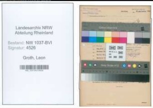 Entnazifizierung Leon Groth , geb. 08.11.1908 (Arzt)